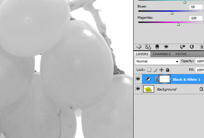Photoshop CS4 Essencial para Fotografia 4