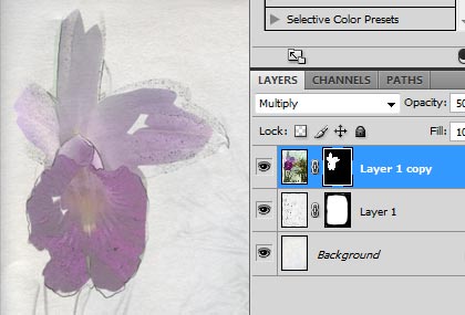 Photoshop CS4 Essencial para Fotografia 8