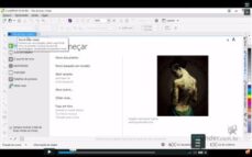 Qualificação Design Gráfico no CorelDraw